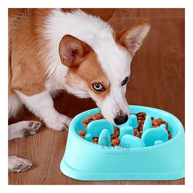 PLATO PERRO MA31308 DURADERO ANTIESTRÉS COLOR CELESTE Y STICKERS RYBIU