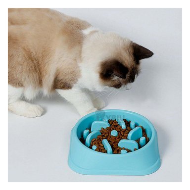 PLATO PERRO MA31308 RESISTENTE COMER COLOR CELESTE Y AGENDITA RYBIU