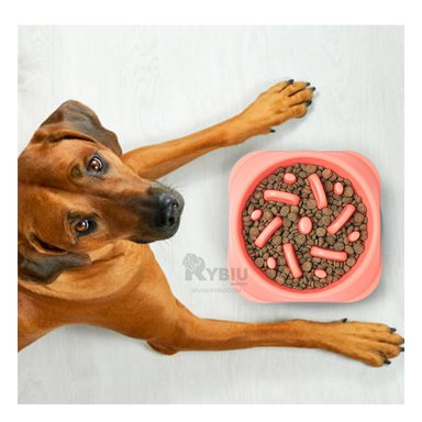PLATO PERRO MA31310 RESISTENTE COMER COLOR ROSADO Y AGENDITA RYBIU