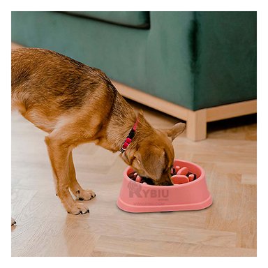 PLATO PERRO MA31309 DURADERO ANTIESTRÉS COLOR ROJO Y STICKERS RYBIU