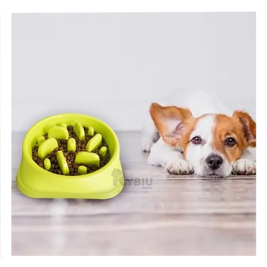 PLATO PERRO MA31311 DURADERO ANTIESTRÉS COLOR VERDE Y STICKERS RYBIU