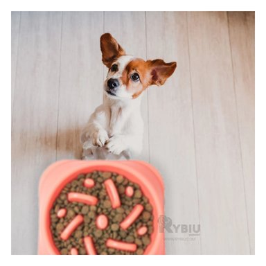 PLATO PERRO MA31310 DURADERO ANTIESTRÉS COLOR ROSADO Y STICKERS RYBIU