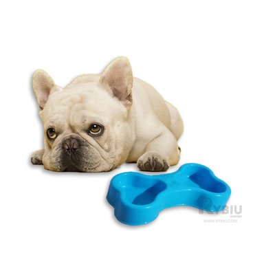 PLATO PERRO Y GATO MA31296 DOBLE COMPARTIMIENTO PET CELESTE Y AGENDITA RYBIU