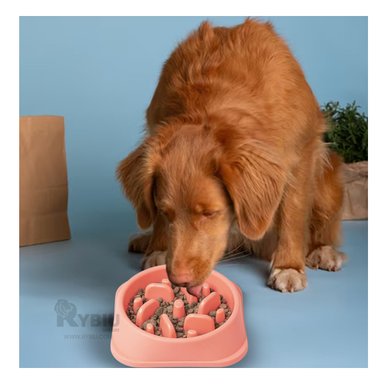 PLATO PERRO MA31310 MASCOTA EFICAZ COLOR ROSADO Y PAPEL REGALO RYBIU