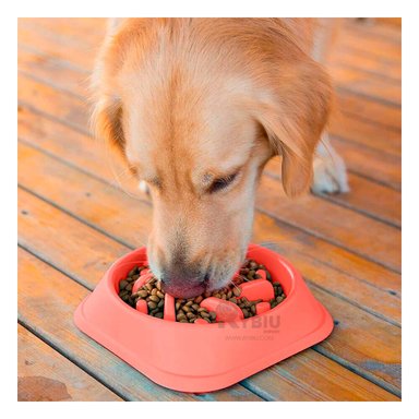 PLATO PERRO MA31309 MASCOTA EFICAZ COLOR ROJO Y PAPEL REGALO RYBIU