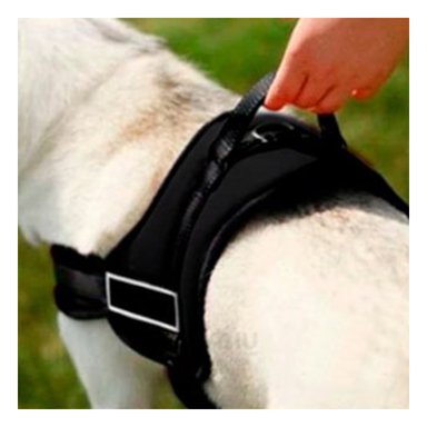 ARNES PARA PERRO TALLA XL EN TONO AMARILLO Y+PAPEL DE REGALO