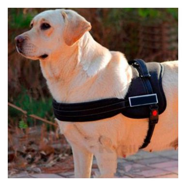 ARNES PECHERA SERVICE DOG TALLA XL DE COLOR AMARILLO