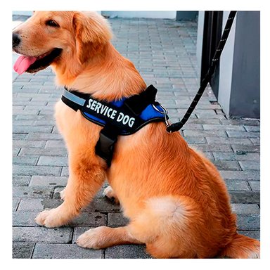 ARNES DE PECHO PERROS MA30978 RYBIU RESISTENTE DE AZUL Y+AGENDITA