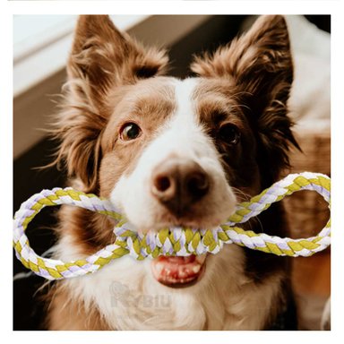 CUERDA PERRO MA31101 4 NUDOS PET  AMARILLO RYBIU