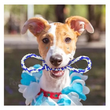 CUERDA PERRO MA31102 RYBIU PARA JUEGO AL AIRE LIBRE AZUL Y AGENDITA