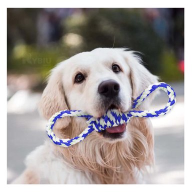 CUERDA PERRO MA31102 4 NUDOS PET AZUL RYBIU