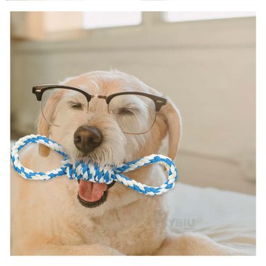 CUERDA PERRO MA31104 RYBIU PARA ENTRENAMIENTO DE MASCOTA CELESTE Y STICKERS