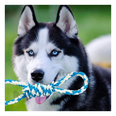 CUERDA PERRO MA31104 4 NUDOS PET  CELESTE RYBIU