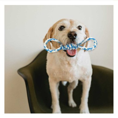 CUERDA PERRO MA31104 RYBIU PARA MASTICAR CELESTE Y PAPEL DE REGALO