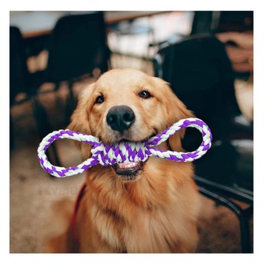 CUERDA PERRO MA31103 RYBIU MORADO Y PAPEL REGALO