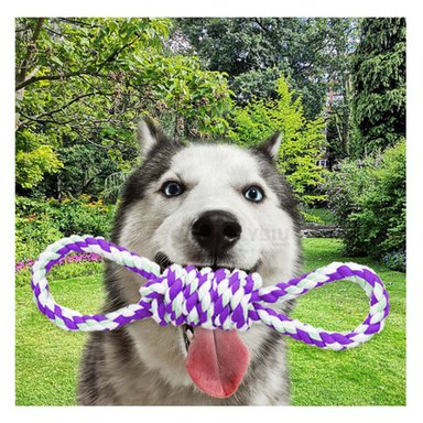 CUERDA PERRO MA31103 4 NUDOS PET  MORADO RYBIU