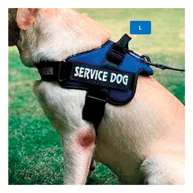 ARNÉS PERROS MA30958 RYBIU RESISTENTE Y SEGURO TALLA L DE COLOR AZUL Y+STICKERS