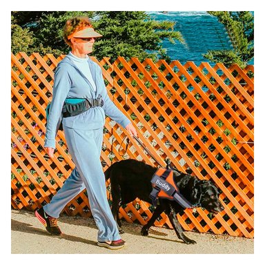 ARNÉS PERROS MA30959 RYBIU PECHERA SERVICE DOG TALLA L EN TONO ANARANJADO