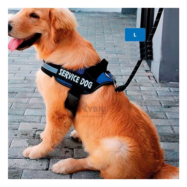 ARNÉS PERROS MA30958 RYBIU DIDACTICO PARA DE COLOR AZUL Y+AGENDITA