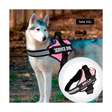 PECHERA PERROS MA30988 RYBIU DE PASEO PET EN ROSADO XXL Y+PAPEL DE REGALO