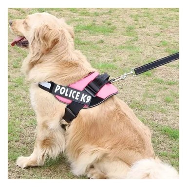 PECHERA PERROS MA30988 RYBIU PARA GRANDE SERVICE EN ROSADO XXL - 1