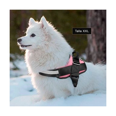 PECHERA PERROS MA30988 RYBIU DE SEGURIDAD PARA CAN EN ROSADO XXL Y+STICKERS