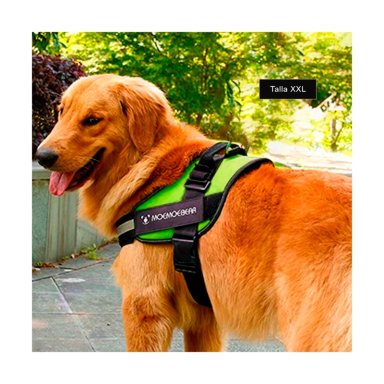 PECHERA PERROS MA30989 RYBIU DE PASEO PET EN VERDE XXL Y+PAPEL DE REGALO