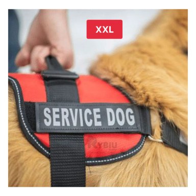 PECHERA PERROS MA30990 RYBIU DE PASEO PET EN ROJO XXL Y+PAPEL DE REGALO