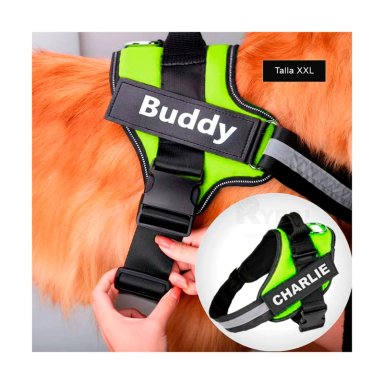 PECHERA PERROS MA30990 RYBIU DE SEGURIDAD PARA CAN EN ROJO XXL Y+STICKERS