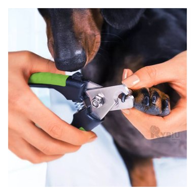 CORTAUÑAS PERRO Y GATO RYBIU MA31086 PET CON LIMA DE ACERO VERDE CHICO