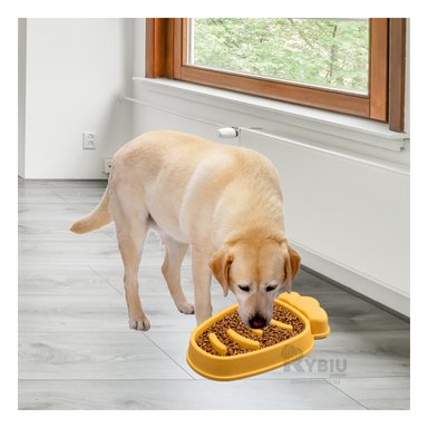 PLATO PERRO MA31315 RESISTENTE COMER COLOR AMARILLO Y AGENDITA RYBIU