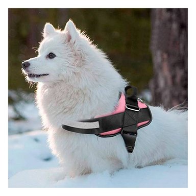 ARNÉS PERROS MA30981 RYBIU XL DE ROSADO Y+AGENDITA