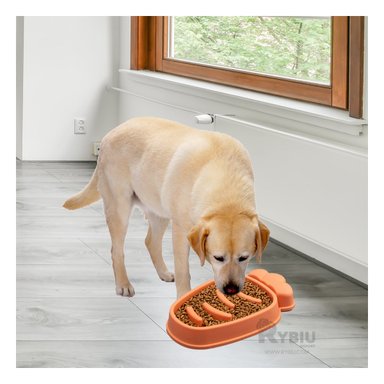 PLATO PERRO MA31314 MASCOTA EFICAZ COLOR NARANJA Y PAPEL REGALO RYBIU