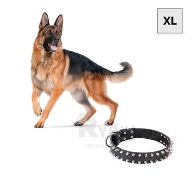 COLLAR PERROS MA31059 RYBIU SEGURO Y COMODO NEGRO TALLA XL Y+STICKERS