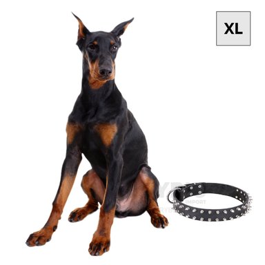 COLLAR PERROS MA31059 RYBIU ERGONOMICO NEGRO TALLA XL Y+AGENDITA