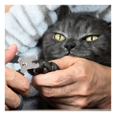 CORTAUÑAS PERRO Y GATO RYBIU MA31087 CORTA UÑA AGRADABLE AL TACTO DE TAMAÑO CHICO + STICKERS