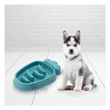 PLATO PERRO MA31311 RESISTENTE COMER COLOR VERDE Y AGENDITA RYBIU