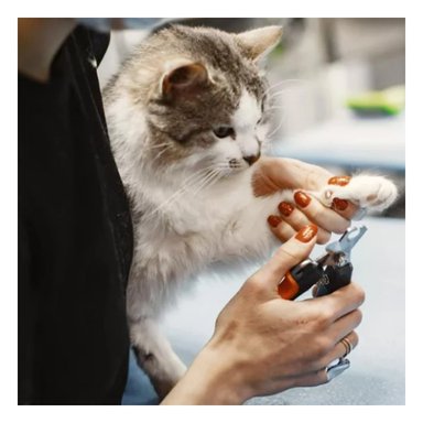 CORTAUÑAS PERRO Y GATO RYBIU MA31088 CON AGARRE ANTIDESLIZANTE GRANDE + STICKERS - 2