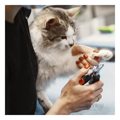 CORTAUÑAS PERRO Y GATO RYBIU MA31088 CORTA UÑA LIGERO Y ERGONOMICO GRANDE + PAPEL DE REGALO