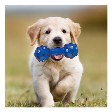 JUGUETE PERRO MA31135 RYBIU HUESO ENCANTADOR Y VIBRANTE AZUL Y PAPEL DE REGALO