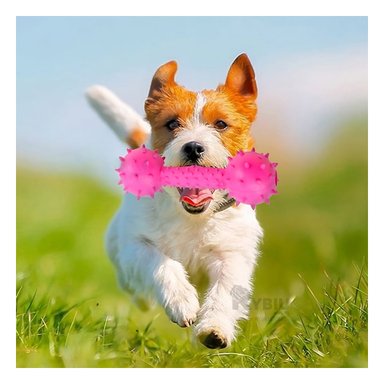 JUGUETE PERRO MA31137 RYBIU PORTATIL DISEÑO HUESO ROSADO Y AGENDITA