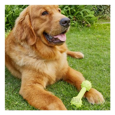 JUGUETE PERRO MA31138 RYBIU DIDACTICO VERDE AMARILLENTO Y PAPEL REGALO