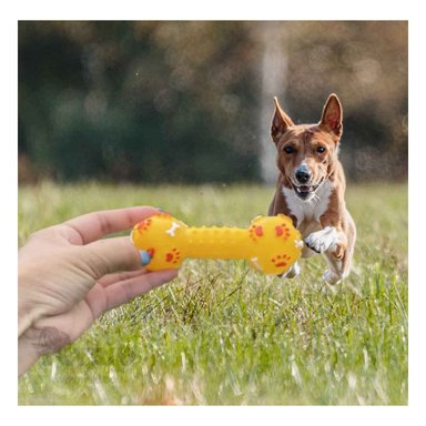 JUGUETE PERRO MA31134 RYBIU HUESO MASTICABLE Y LIGERO AMARILLO Y AGENDITA