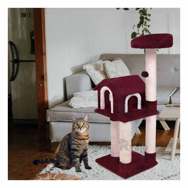 GYM GATO MA31128 RYBIU ELEGANTE GUINDA Y PAPEL DE REGALO