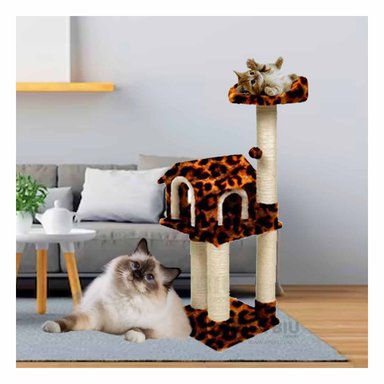 GYM GATO MA31125 RYBIU INNOVADO PRACTICO ANIMAL PRINT Y AGENDITA