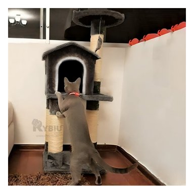 GYM GATO MA31131 RYBIU RESISTENTE CAT 3 PARA PISO TONO NEGRO Y PAPEL DE REGALO