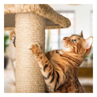 GYM GATO MA31130 RYBIU CASA DE 3 PISOS MOSTAZA