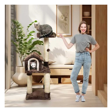 GYM GATO MA31129 RYBIU CONFORTABLE COMPACTO MARRON Y AGENDITA