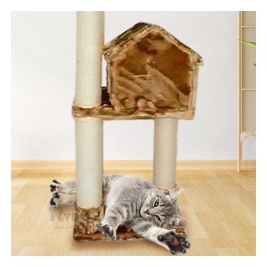 GYM GATO MA31130 RYBIU MODERNO ELEGANTE MOSTAZA Y STICKERS