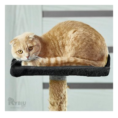 GIMNASIO GATOS MA31131 RYBIU PORTATIL 3 NIVELES ALTA CALIDAD DISEÑO NEGRO